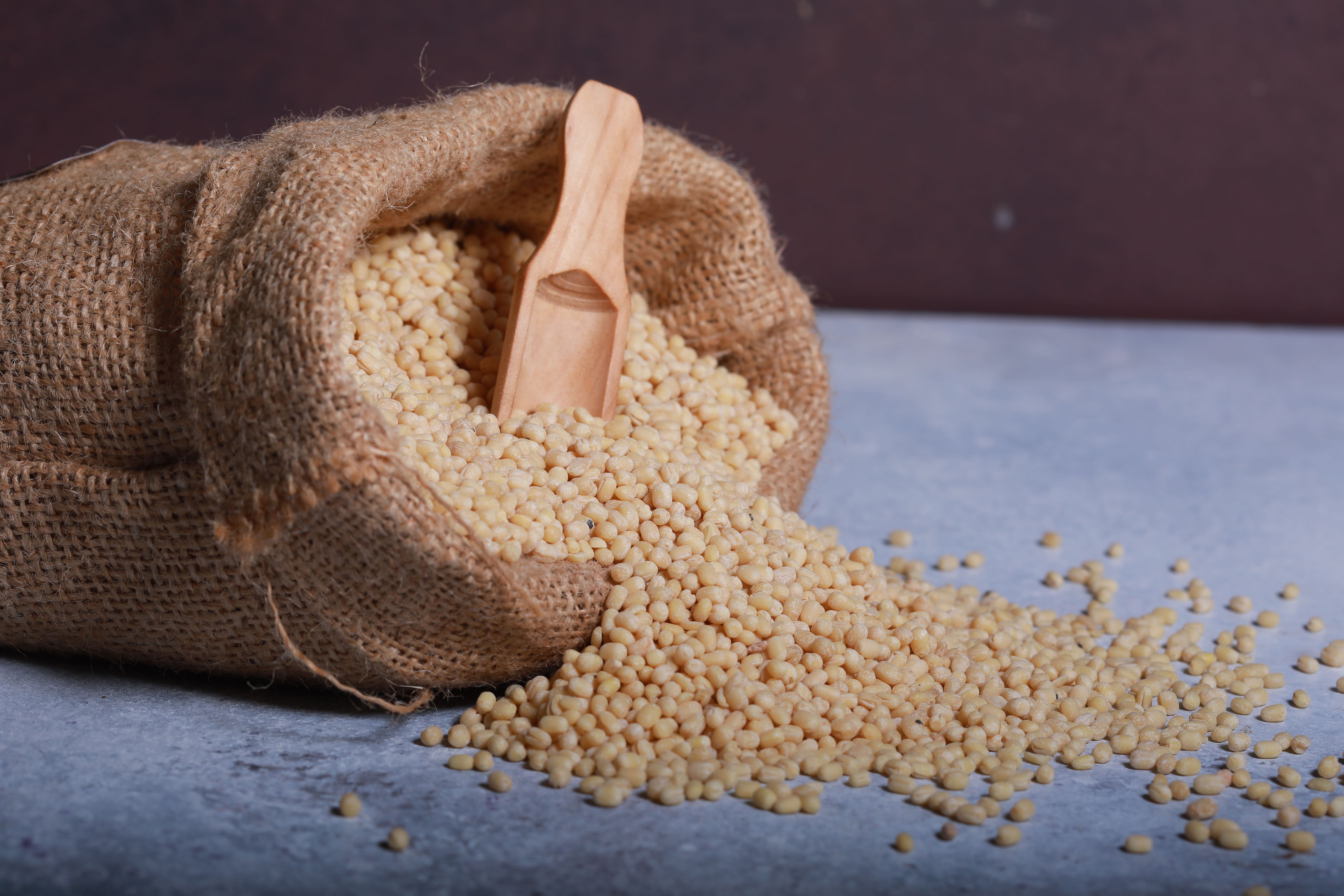 Urad dal black gram split